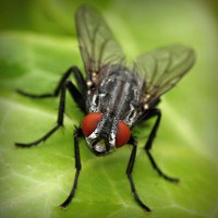 /album/minimundos-minimoedas-gratis-/photolia-a01-jpg/