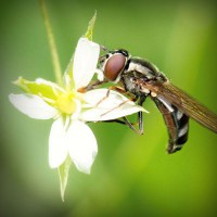 /album/minimundos-minimoedas-gratis-/photolia-a02-jpg/