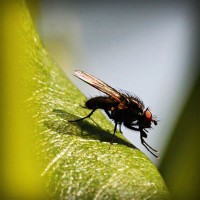 /album/minimundos-minimoedas-gratis-/photolia-a04-jpg/