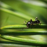 /album/minimundos-minimoedas-gratis-/photolia-a05-jpg/