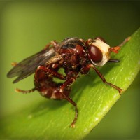 /album/minimundos-minimoedas-gratis-/photolia-a06-jpg/