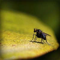 /album/minimundos-minimoedas-gratis-/photolia-a07-jpg/