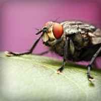 /album/minimundos-minimoedas-gratis-/photolia-a08-jpg/